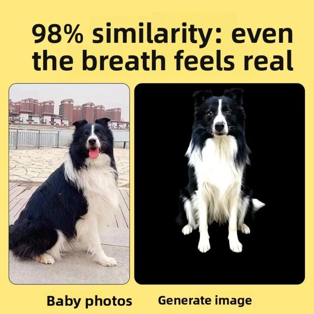 Personalized 3D Pet Holographic Box